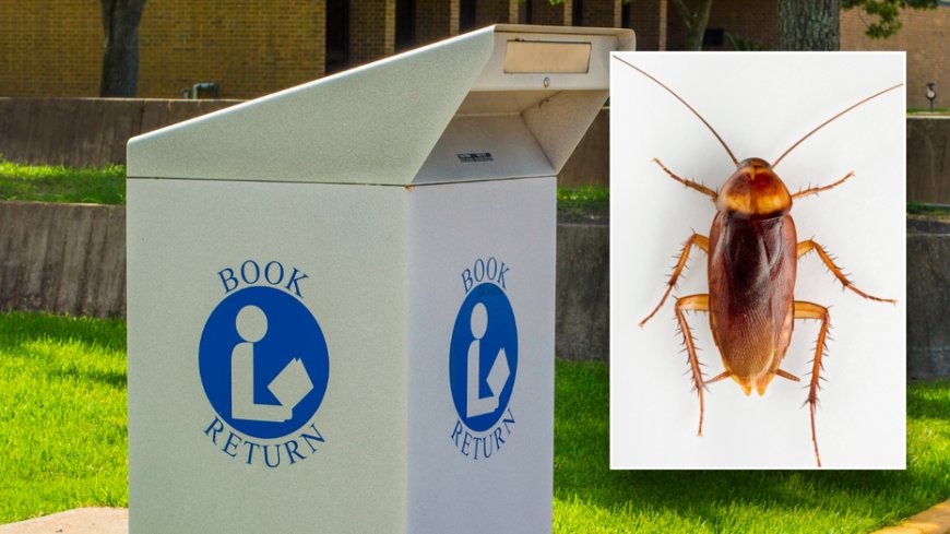 Creepy insect crawls out of DVD return, prompts Michigan library to close