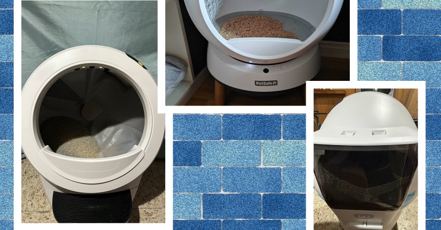 The 5 Automatic Litter Boxes We've Tested and Recommend (2024)