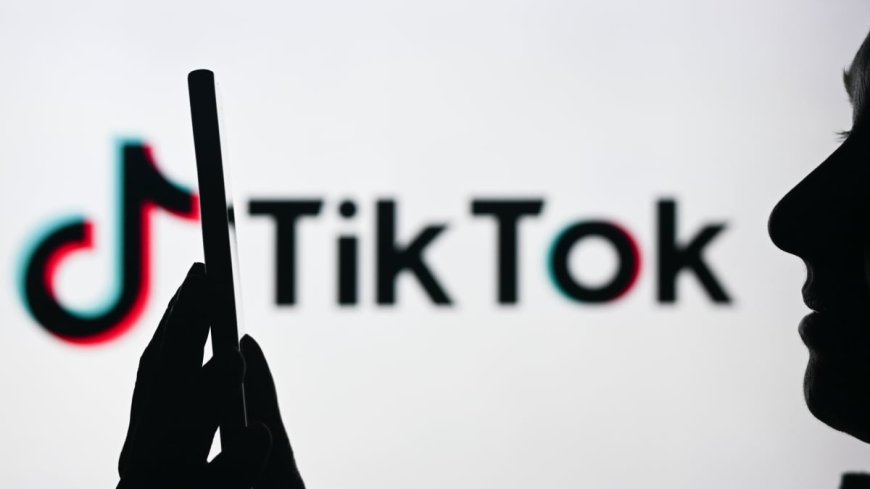 TikTok brings its paid subscriptions to more creators