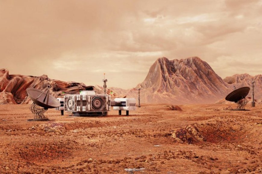 Harvard Scientists Grow Algae in Mars-Like Conditions, Paving Way for Space Habitats
