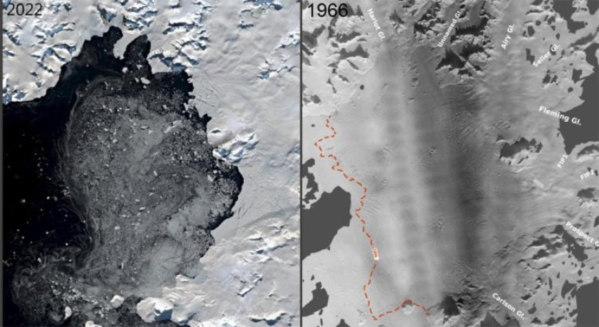 Scientists Just Turned Dusty Navy Photos Into a Climate Time Bomb