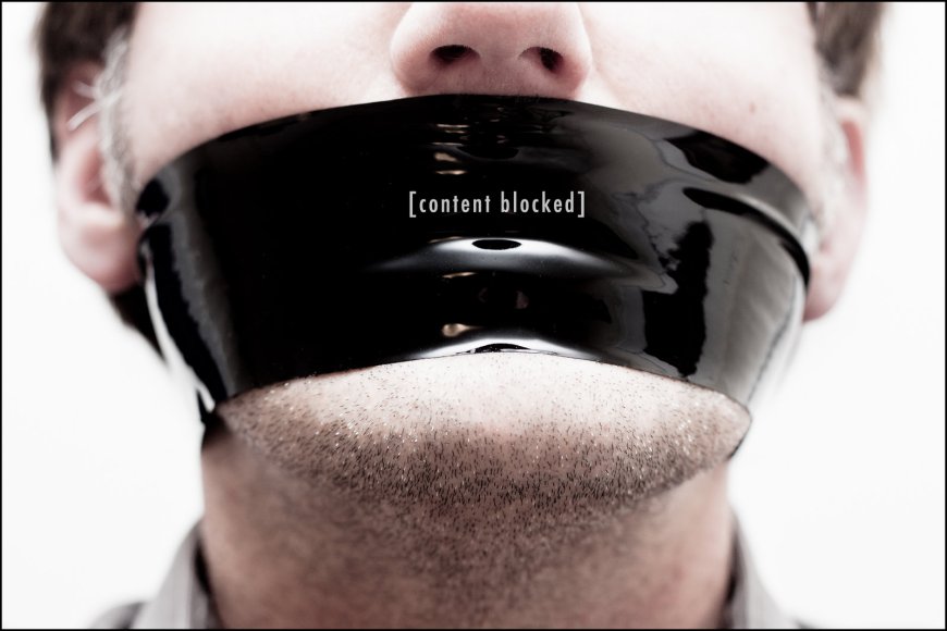 Vilifying the Vylans or: How I learned to stop censoring and call for death to the BBC