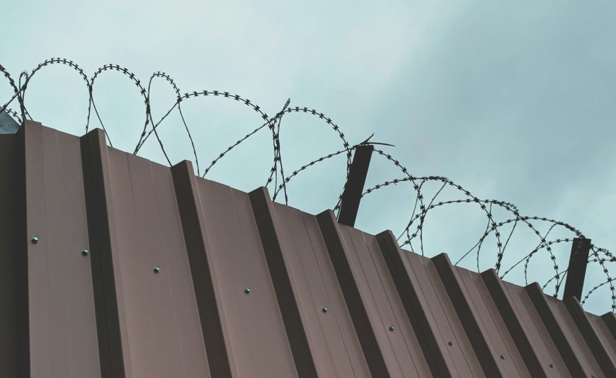 The State’s Insatiable Thirst for Control and the Human Cost of Borders