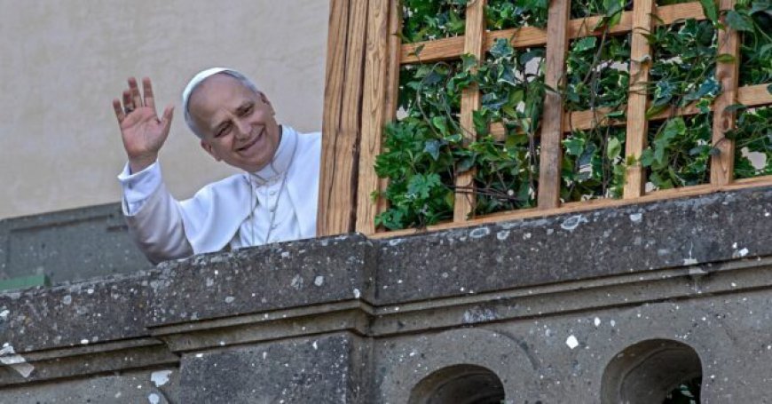 Pope Leo Celebrates First 'Green Mass' as He Pursues 'Climate Justice for All'