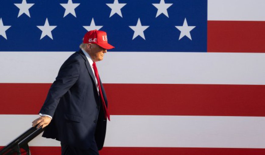 Democracy Experts Scorned by Trump Are Plotting to Sabotage Democracy