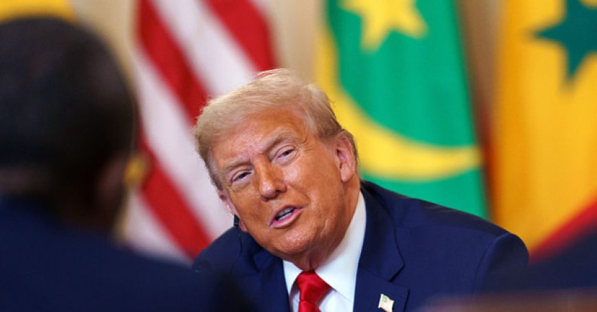 Trump Looks To 'Forge New Economic Opportunities’ With African Nations in White House Meeting