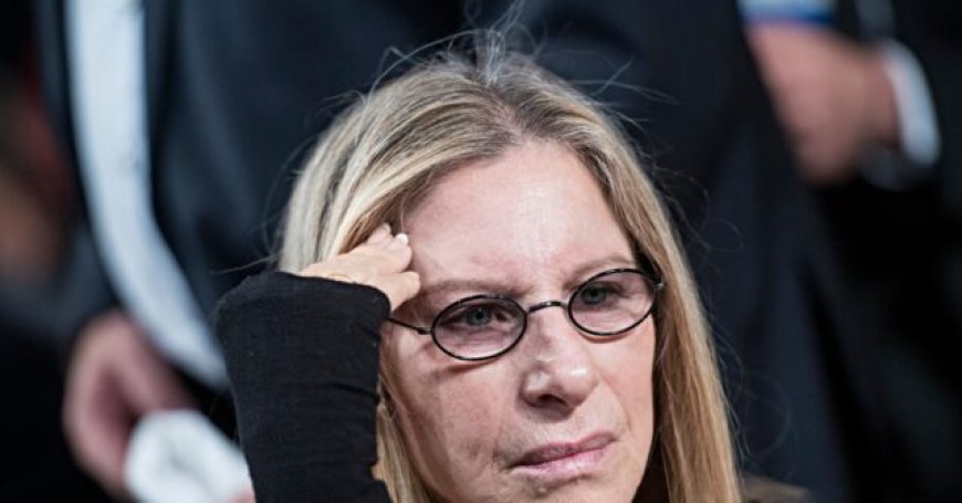 Barbra Streisand Says Texas Flood Tragedy Proves We Must ‘Redouble Our Efforts to Slow Climate Change’
