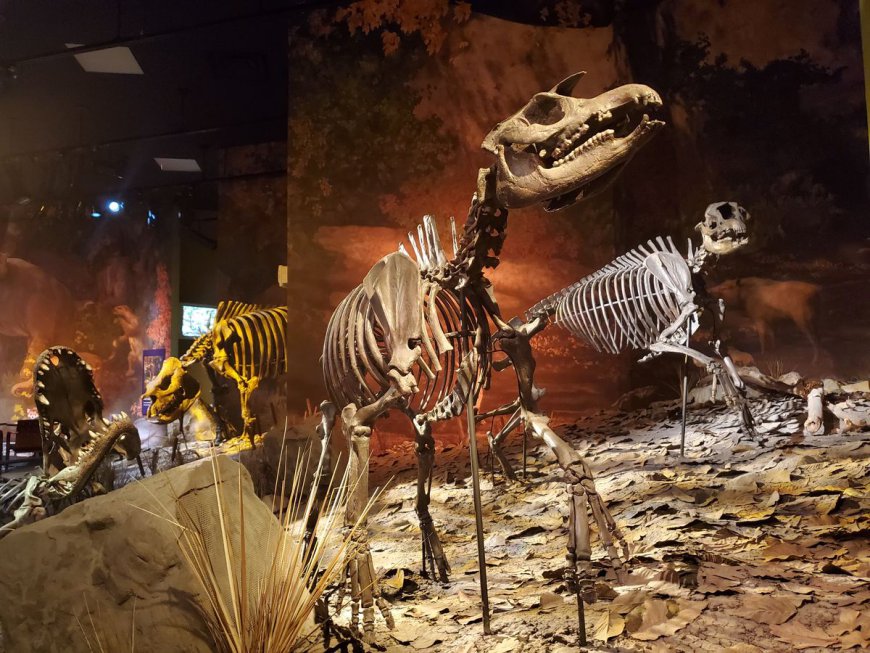 A 4.9 Million-Year-Old Ecosystem Of Interconnected Worlds Is Preserved In A Tennessee Sinkhole