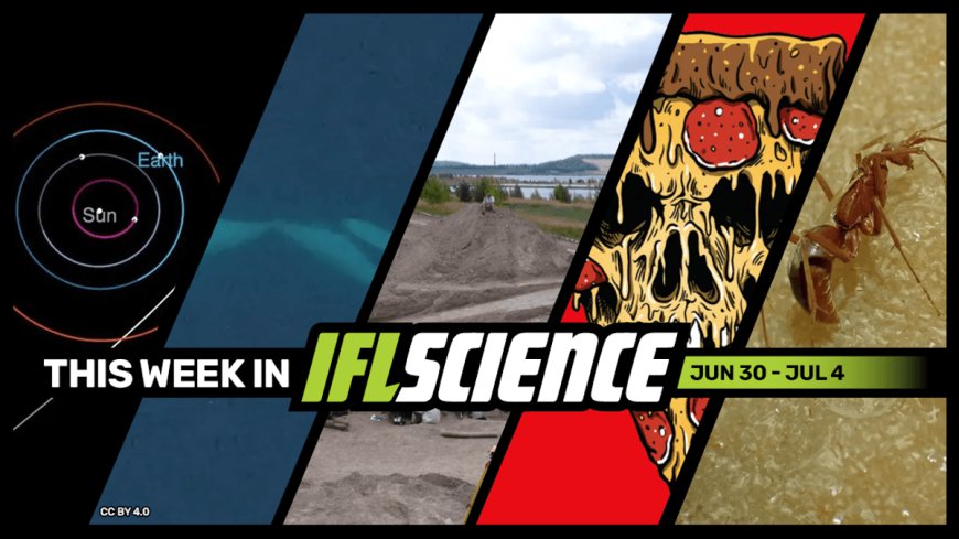 We’ve Found Our Third-Ever Interstellar Visitor, Orcas Filmed Kissing (With Tongues) In The Wild, And Much More This Week