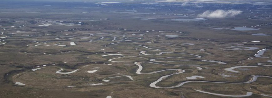 Alaska’s Wilderness At Risk As Trump Opens “Up To 82 Percent” Of National Reserve To Drilling