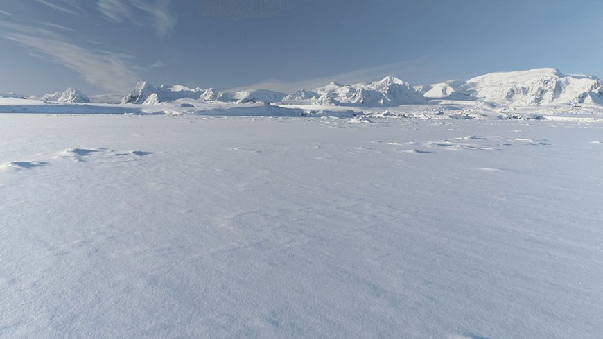 "For Unknown Reasons": Mystery Of The Oldest Human Remains Ever Found In Antarctica