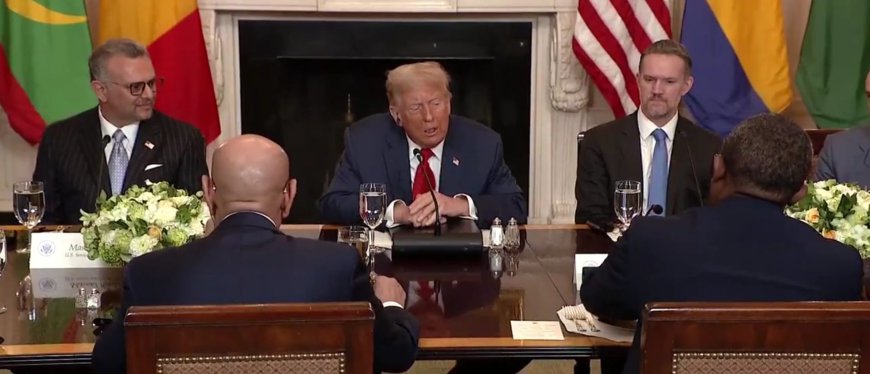 ‘Go A Little Bit Quicker’: Trump Tells Chatty African Leaders To Cut To The Chase