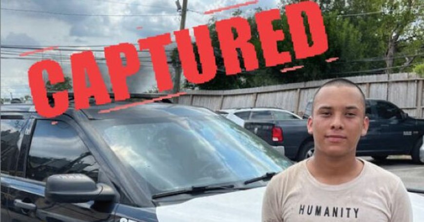 Study: Sanctuary States Released More than 25K Criminal Illegals Without Alerting ICE