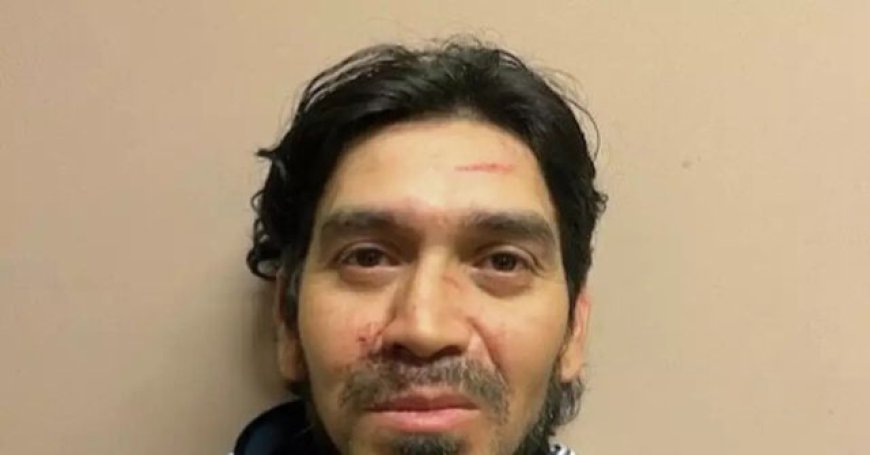 Previously Deported Illegal Alien to Serve 90 Days in Prison for Chasing U.S. Attorney with Knife
