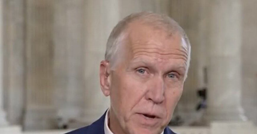 Tillis: Some of Trump's Advisers Are ‘Amateurs'