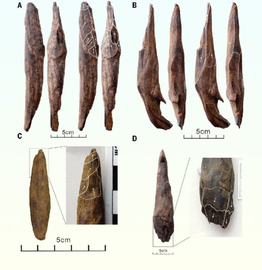 300,000-Year-Old Wooden Tools Discovered in China