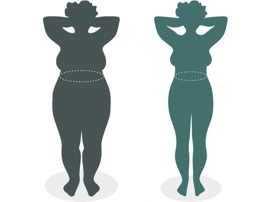 Magnesium Marvel: New Drug Melts Fat Even on a Junk-Food Diet