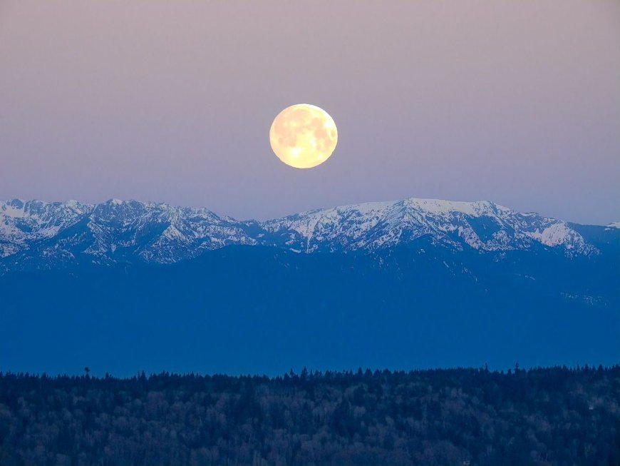 Tonight Will Be The Perfect Time To Witness The Moon Illusion