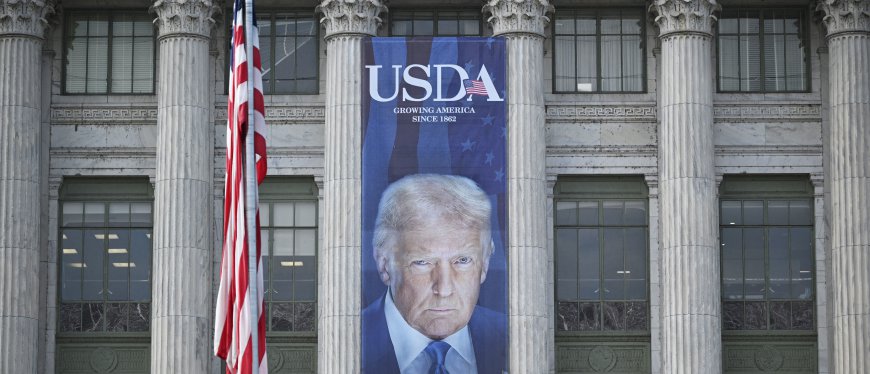 Trump Agriculture Dept Puts Kibosh On Biden’s Racial Preferences
