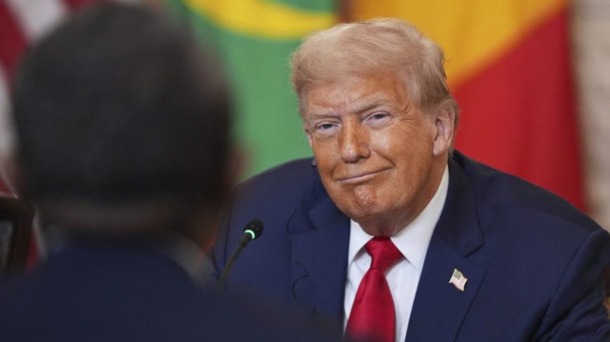 Trump nominates MAGA influencer Nick Adams to Malaysia ambassador post
