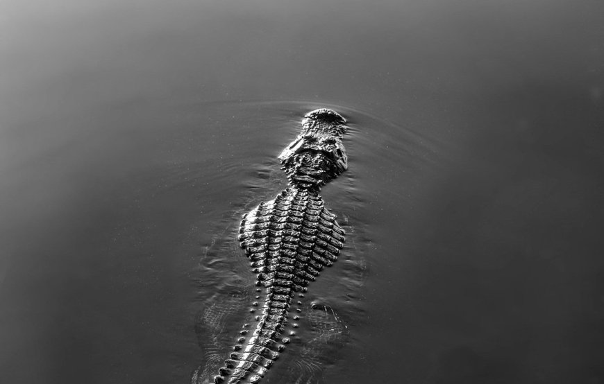 Panagioti Tsolkas on Alligator Alcatraz and the Fight Against Toxic Prisons