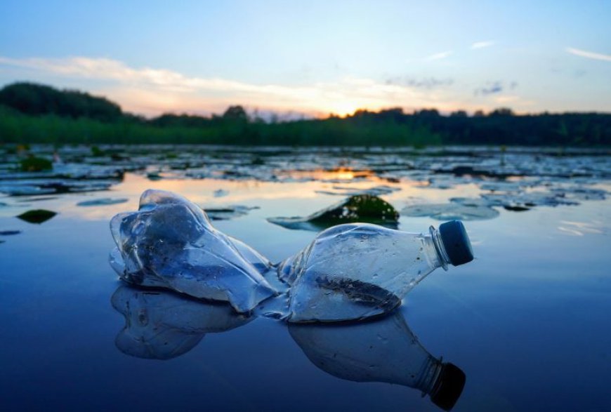 Common Chemical Found in Sunscreen Could Be Supercharging Plastic Pollution