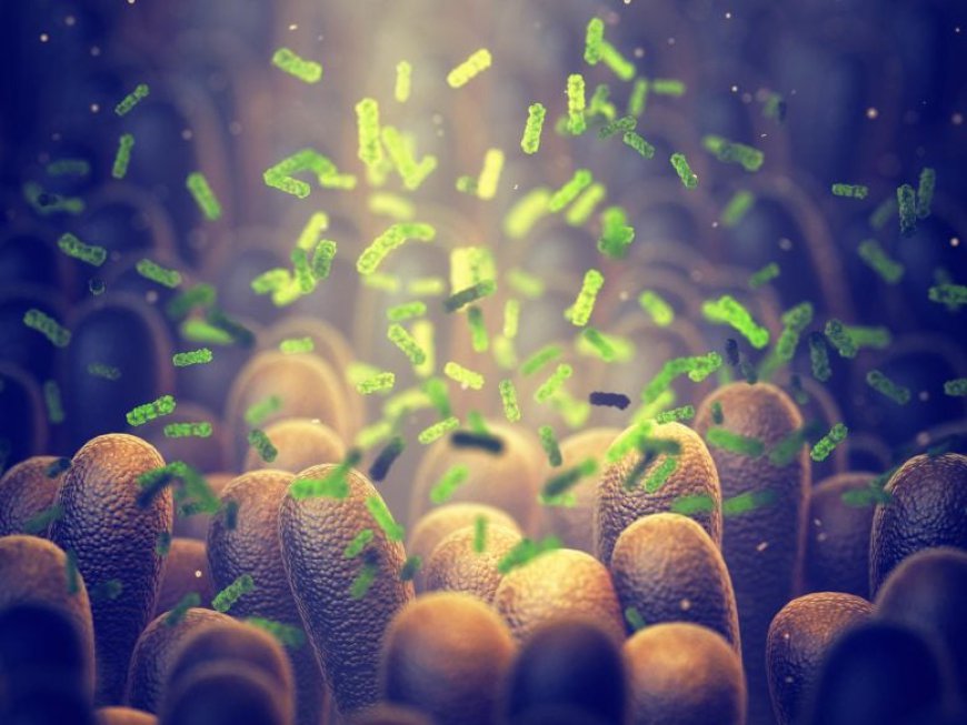 New Study Finds Probiotic Potential in Battling Pesticide Damage