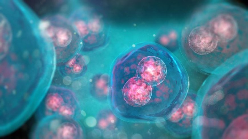 Groundbreaking Biological “Artificial Intelligence” System Could Make Impossible Medicines Real