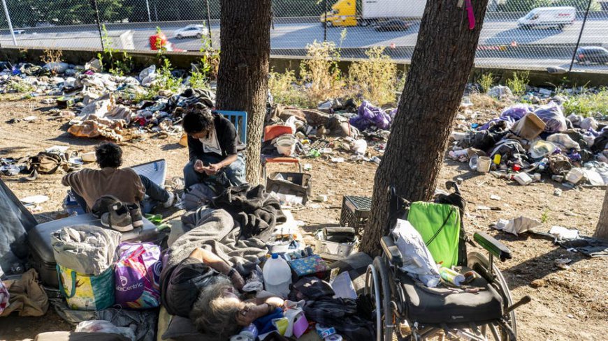 Leftist lawmakers want to make homeless encampments a nationwide crisis