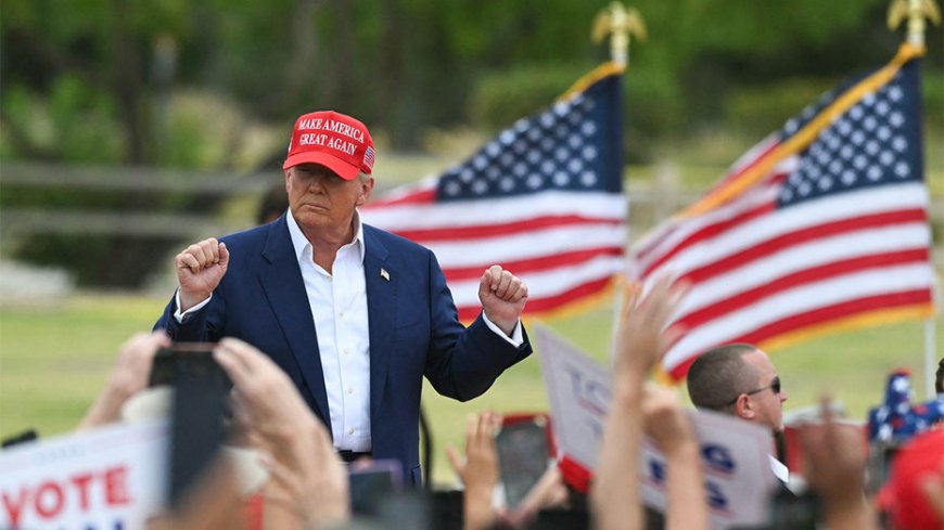 Veteran political reporter reveals what the media missed about Trump's appeal to Americans in 2024