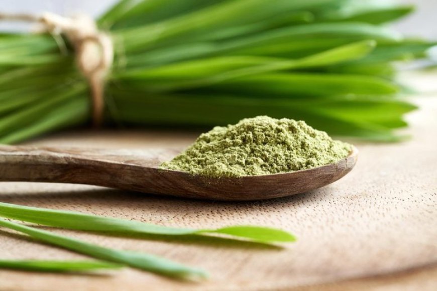 These Natural Flavonoids Extend Lifespan and Fight Aging (in Flies)
