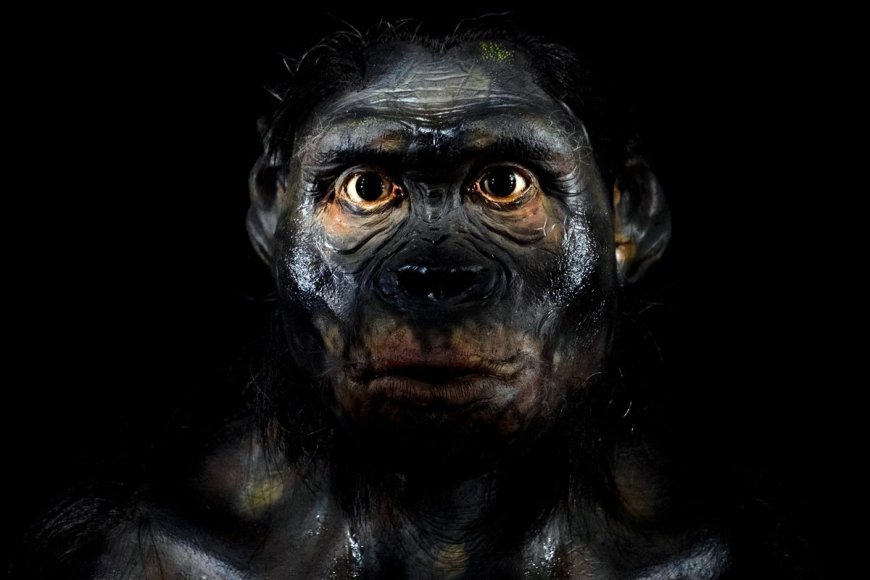 1.8 Million Years Ago, Two Extinct Humans Had One Of The Gnarliest Deaths In History