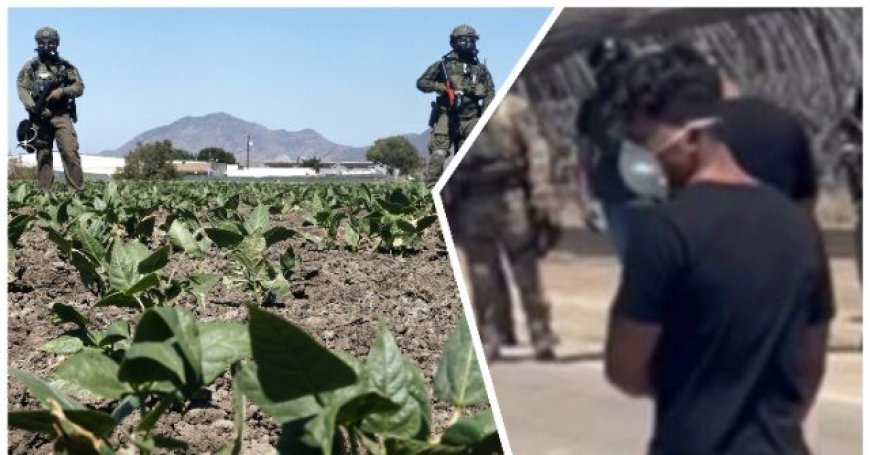 $50K Reward Offered for Man Who Allegedly Fired on Federal Agents at Marijuana Farm in California