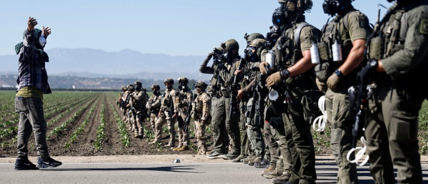 President Of ICE-Raided Pot Farm Doled Out Thousands In Donations To Newsom, Dems