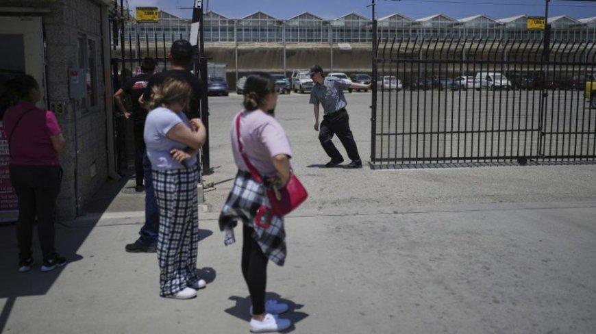 200 arrested, one dead in chaos at California cannabis farm immigration raid