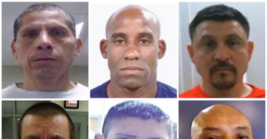 Report: ICE Arrests 30,000 Illegals in June -- the Most in at Least Half a Decade