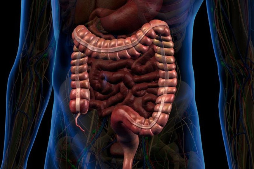 Caltech’s New Smart Pill Can Read Your Gut Like Never Before