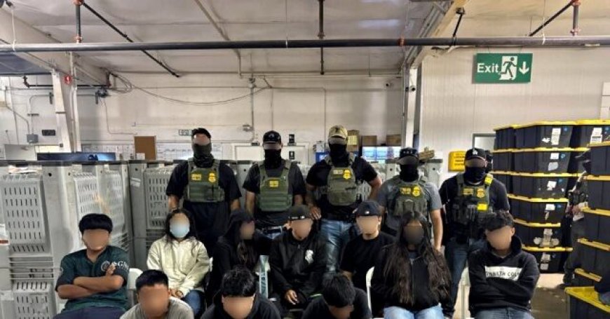 Sanctuary California: ICE Agents Find 10 Migrant Children on Marijuana Farm, Arrest Nearly 200 Illegal Aliens