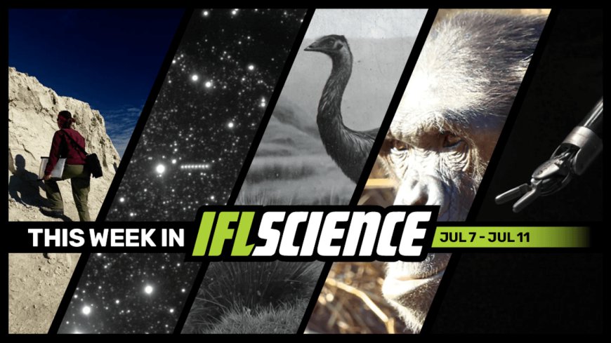 24-Million-Year-Old Protein Fragments Are Oldest Ever Recovered, A Robot Listened To Spoken Instructions And Performed Surgery, And Much More This Week