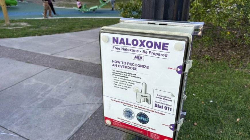 Cutting federal naloxone funding is cruel and will prove costly