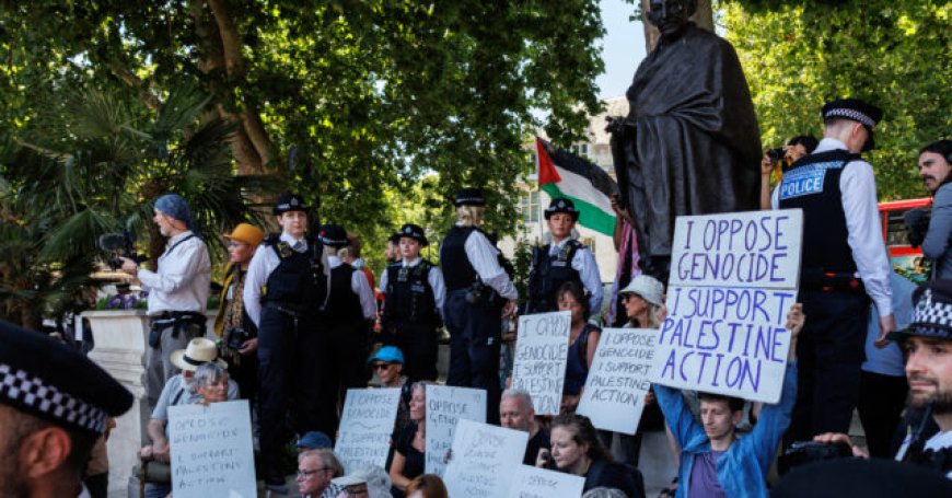 Dozens of 'Palestine Action' Supporters Arrested at London Demonstration