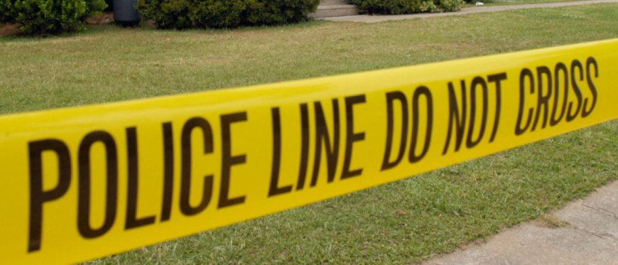 Illegal Migrant Teen Charged With Fatal Long Island Stabbing, Arrested At Scene