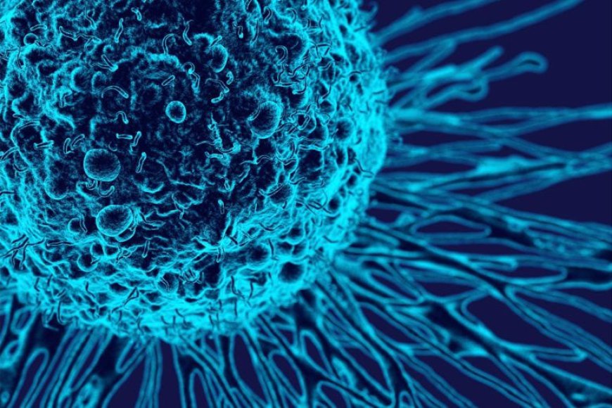 Mayo Clinic Uncovers First Warning Signs of Ovarian Cancer