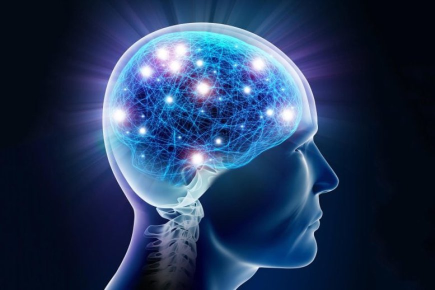 Is Intelligence Genetic? Scientists Discover Heritable Brain State That Powers Cognitive Flexibility