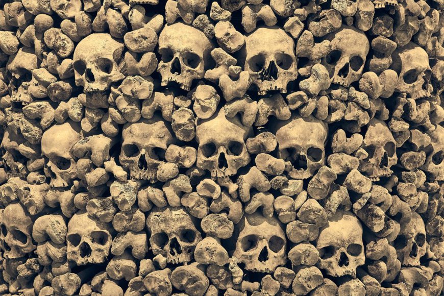 Ancient Human DNA Reveals Earliest Zoonotic Diseases Appeared 6,500 Years Ago