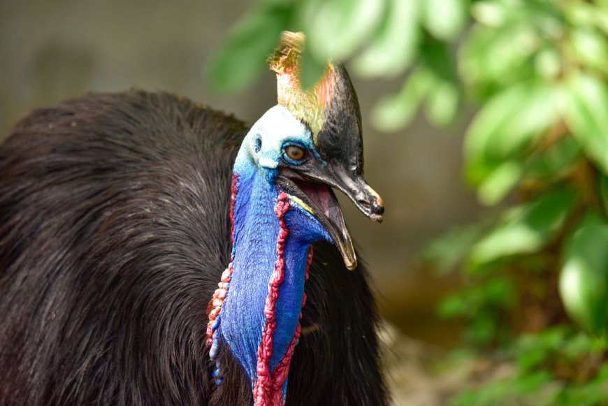 5 Animals That Have Absolutely No Business Jumping (In Our Very Humble, Definitely Unbiased Opinion)