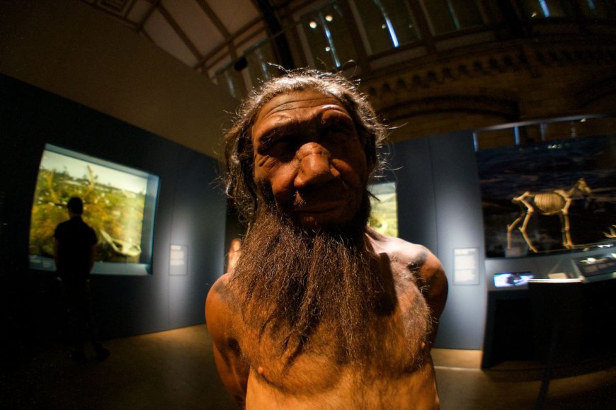 Over Past 250,000 Years, Three Major Waves Of Human-Neanderthal Interbreeding Have Been Identified