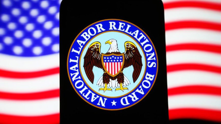 Vital questions senators must ask Trump’s top labor lawyer nominee