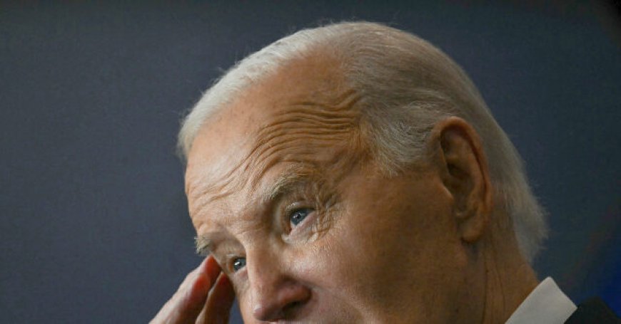 'The Guy's Brain Is Mush': Joe Biden's Quotes in NYT Interview Deemed 'Unintelligible'