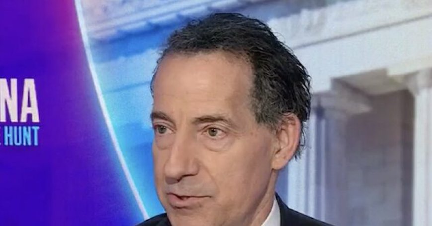 Raskin: 'Dangerous to Public Health and Safety' Not to Release Epstein Files